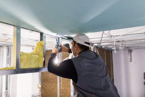 Types of Insulation We Offer in Holly Hill, SC