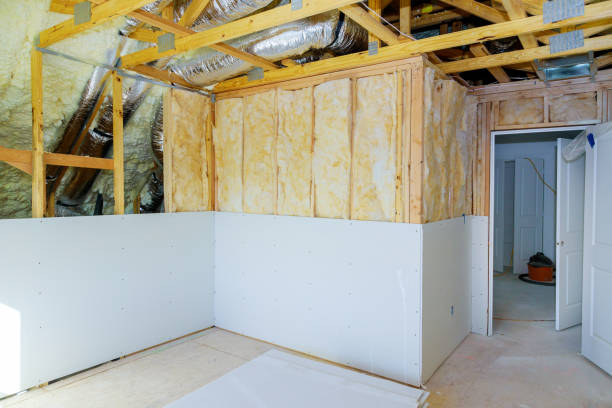 Trusted Holly Hill, SC Insulation Contractor Experts