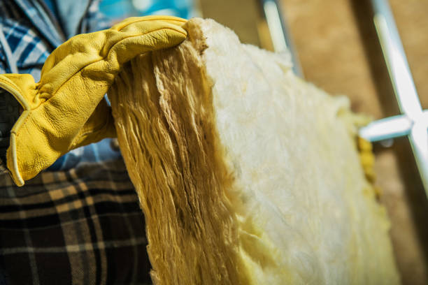 Best Geographic-Specific Insulation Services in Holly Hill, SC