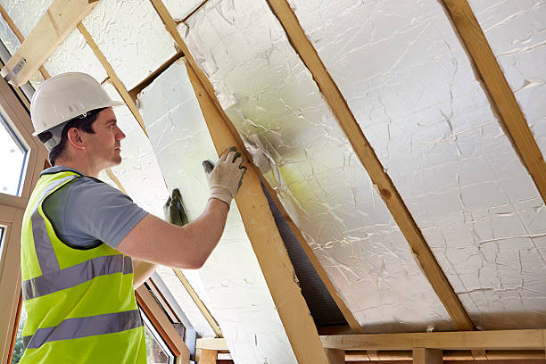 Best Cellulose Insulation in Holly Hill, SC